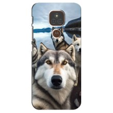 Чехол с Хаски для Motorola Moto E7 Plus - (AlphaPrint) (Селфи ХАски)