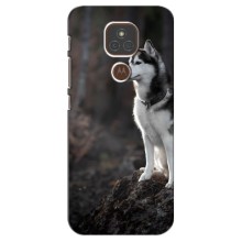 Чехол с Хаски для Motorola Moto E7 Plus - (AlphaPrint) (Верный пес)
