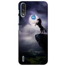 Чехлы с изображением разных животных для Motorola Moto E7i / E7 Power (Лошадь)
