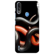 Чехлы с изображением разных животных для Motorola Moto E7i / E7 Power (Змея)