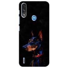 Чохли з картинкою животних Motorola MOTO E7i / E7 Power (Собака)