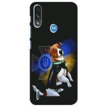 Чохли з картинкою собаки Патрон для Motorola Moto E7i / E7 Power (AlphaPrint) (Патрон собачка)