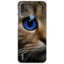 Чохли з Котиками для Motorola Moto E7i / E7 Power (VPrint) (Око кота)
