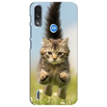 Чохли з Котиками для Motorola Moto E7i / E7 Power (VPrint) (Прижок кота)