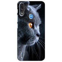Чохли з Котиками для Motorola Moto E7i / E7 Power (VPrint) (Сірий Кіт)