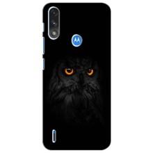 Чохли з принтом СОВИ для Motorola Moto E7i / E7 Power (Сова на чорному)