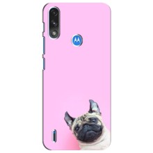 Чохли з собаками для Motorola Moto E7i / E7 Power (VPrint) (Смішна собака)