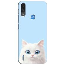 Чехол на тематику: Коты для Motorola MOTO E7i / E7 Power (Белый кот)
