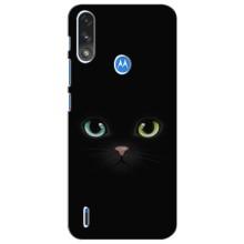 Чехол на тематику: Коты для Motorola MOTO E7i / E7 Power (Черный Котик)