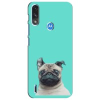 Бампер для Motorola Moto E7i / E7 Power с картинкой "Песики" – Собака Мопс