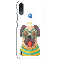 Бампер для Motorola Moto E7i / E7 Power с картинкой "Песики" (Собака Король)