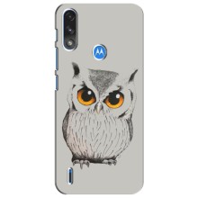 Чохол з пташками на Motorola Moto E7i / E7 Power (VPrint) (Мила Сова)