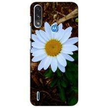 Чехол с ромашками на Motorola Moto E7i / E7 Power (Белая ромашка)