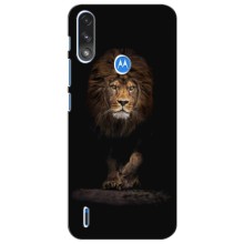 Чохол з картинкою ЛЕВ для Motorola Moto E7i / E7 Power (VPrint) (Лев)