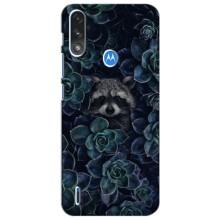 Силіконовий Чохол з Энотами  на Motorola Moto E7i / E7 Power (В квітах)