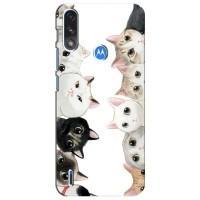Силиконовый чехол с котиком для Motorola MOTO E7i / E7 Power (Коты)