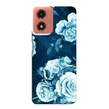 Чехлы (ART) Цветы на Motorola MOTO G04 (VPrint) (Голубые Бутоны)