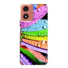 Чехлы (ART) Цветы на Motorola MOTO G04 (VPrint) (Семицветик)