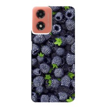 Чехлы с Фруктами для Motorola MOTO G04 (VPrint) (Ежевика)