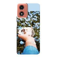 Чехлы с изображением разных животных для Motorola MOTO G04 (Ежик на руках)