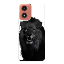 Чехлы с картинками животных Motorola MOTO G04