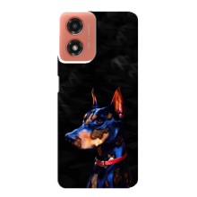 Чехлы с картинками животных Motorola MOTO G04 (Собака)