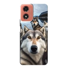 Чехол с Хаски для Motorola MOTO G04 - (AlphaPrint) (Селфи ХАски)