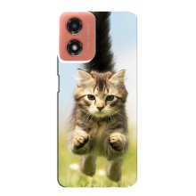 Чехлы с Котиками для Motorola MOTO G04 (VPrint) (Прыжок кота)