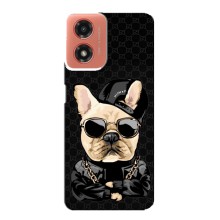 Чехлы с крутыми принтами для Motorola MOTO G04 - (PREMIUMPrint) (Стильная собака)
