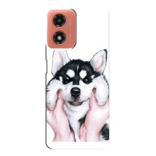 Чехлы с собаками для Motorola MOTO G04 (VPrint) (Довольный Хаски)