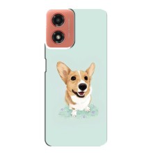 Чехлы с собаками для Motorola MOTO G04 (VPrint) (Корги)