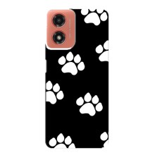 Чехлы с собаками для Motorola MOTO G04 (VPrint) (Следы собаки)