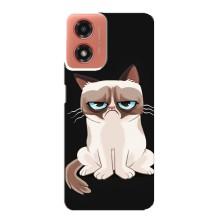 Чехол на тематику: Коты для Motorola MOTO G04 – Взгляд кота