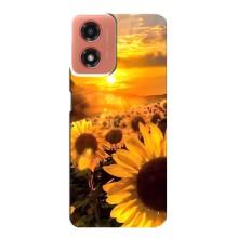 Чехол с Цветами для Motorola MOTO G04 (поле подсолнухов)