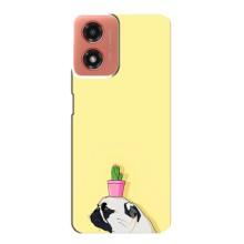 Бампер для Motorola MOTO G04 с картинкой "Песики" (Кактус на голове)