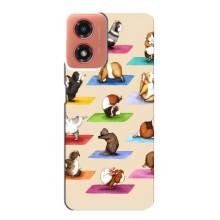 Чехол с Прикольным принтом на Motorola MOTO G04 (Ёга свинок)