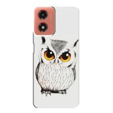 Чехол с птицами на Motorola MOTO G04 (VPrint) (Милая Сова)