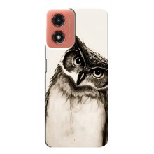 Чехол с птицами на Motorola MOTO G04 (VPrint) (Сова)