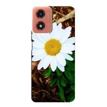 Чехол с ромашками на Motorola MOTO G04 – Белая ромашка