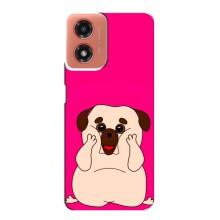 Чехол (ТПУ) Милые собачки для Motorola MOTO G04 (Веселый Мопсик)