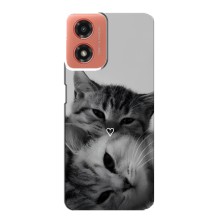 Чехол с рисунком кот на Motorola MOTO G04 (Пара котов)