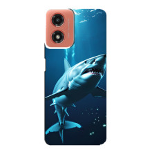Чехол с картинкой «Хищники» для Motorola MOTO G04 – Акула