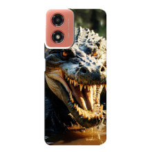 Чехол с картинкой «Хищники» для Motorola MOTO G04 – Крокодил