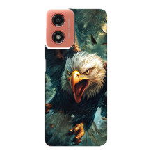 Чехол с картинкой «Хищники» для Motorola MOTO G04 – Орёл