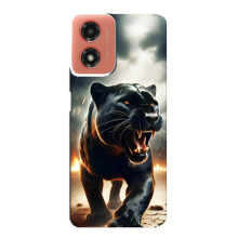 Чехол с картинкой «Хищники» для Motorola MOTO G04 – Пантера