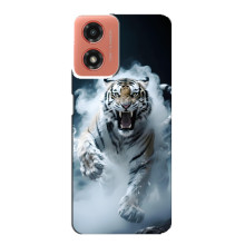 Чехол с картинкой «Хищники» для Motorola MOTO G04 – Тигр