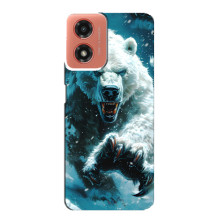 Чехол с картинкой «Хищники» для Motorola MOTO G04 – Медведь