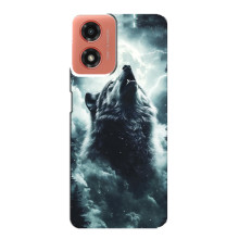 Чехол с картинкой «Хищники» для Motorola MOTO G04