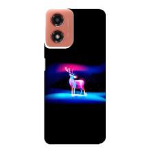 Силиконовый бампер с картинкой животных для Motorola MOTO G04 (Яркий олень)