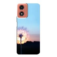 Силиконовый Чехол с одуванчиками на Motorola MOTO G04 – Закат с одуванчиком